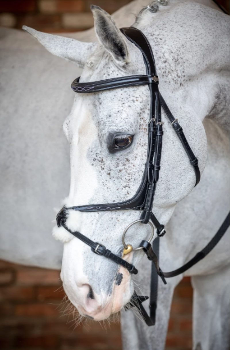 LeMieux Grackle Bridle Black-1